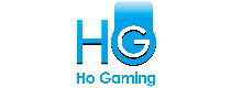 footerProv-HOGAMING
