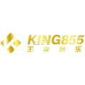 footerProv-KING855S