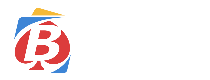 footerProv-BAISON